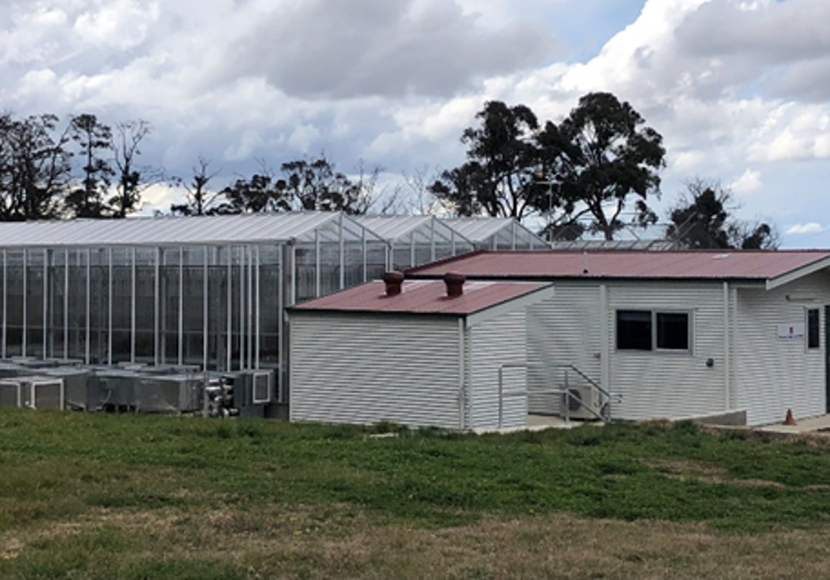 Dpi Glasshouse - erbas