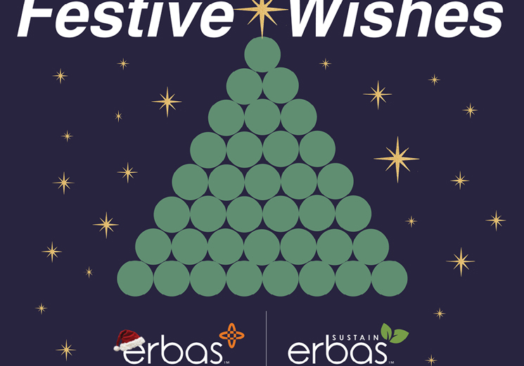 Festive Wishes - erbas