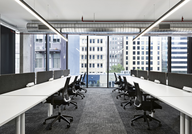 12 14 Mckillop 003 - erbas
