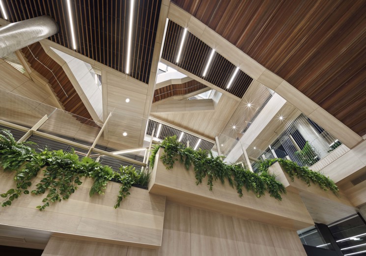 Caulfield Grammar School SS T+L Bldg 03 - erbas