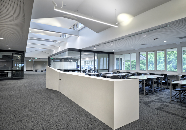 31102025Bowdencorp 36 - erbas