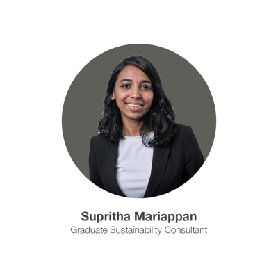 2025, Through Our Team’s Eyes - erbas