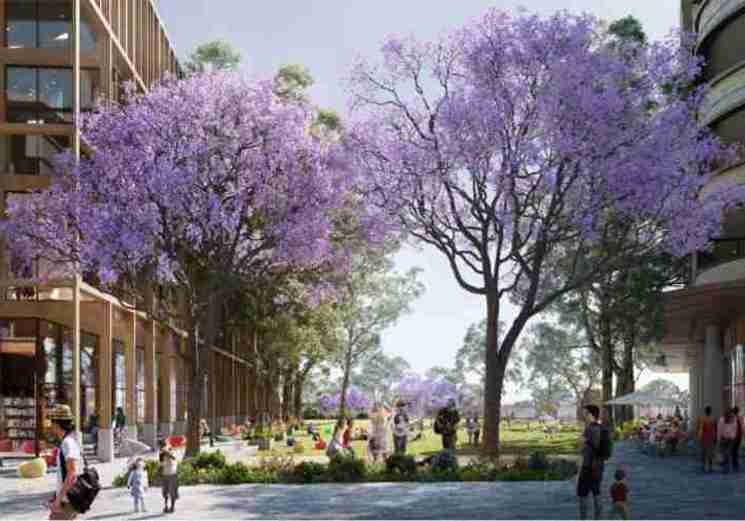 Lindfield Village Hub
