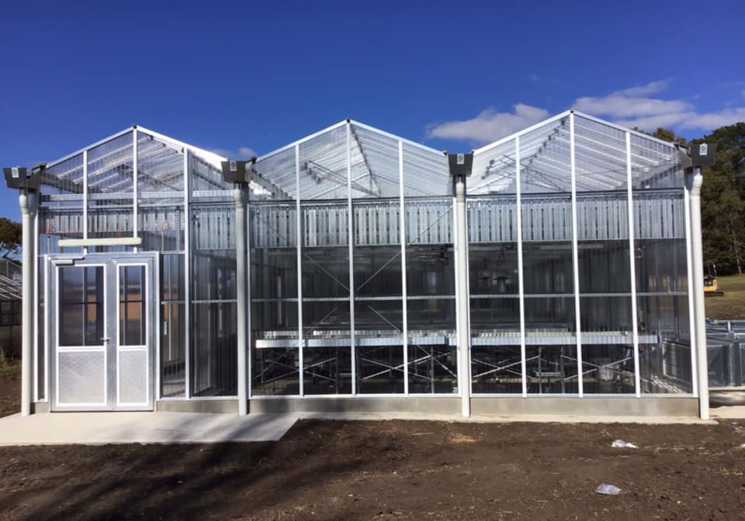 Glass House1 - erbas