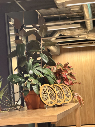 2025 Biophilic Design Awards - erbas