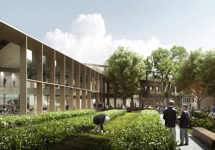 Ma Edu Brighton School 02 - erbas
